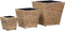 vidaXL - Plantenbakken - verhoogd - 3 - st - waterhyacint
