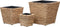 vidaXL - Plantenbakken - verhoogd - 3 - st - waterhyacint