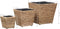 vidaXL - Plantenbakken - verhoogd - 3 - st - waterhyacint