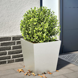 vidaXL - Plantenbank - 40x40x40 - cm - roestvrij - staal