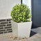 vidaXL - Plantenbank - 40x40x40 - cm - roestvrij - staal