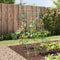 vidaXL - Plantenklimrek - A-frame - 99x90x175,5 - cm - staal