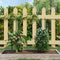 vidaXL - Plantenstaken - 30 - st - 60 - cm - staal - groen