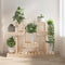 vidaXL - Plantenstandaard - 104,5x25x77,5 - cm - massief - grenenhout