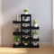vidaXL - Plantenstandaard - 85x25x109,5 - cm - massief - grenenhout - zwart