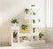 vidaXL - Plantenstandaard - 92x25x97 - cm - massief - grenenhout - wit