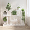 vidaXL - Plantenstandaard - wit - 104,5x25x77,5 - cm - massief - grenenhout