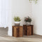 vidaXL - Plantenstandaards - 2 - st - 15x15x20 - cm - bewerkt - hout - oud - houtkleurig
