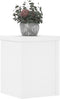 vidaXL - Plantenstandaards - 2 - st - 15x15x20 - cm - bewerkt - hout - wit