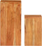 vidaXL - Plantenstandaards - 2 - st - massief - acaciahout