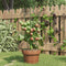 vidaXL - Plantensteunen - 5 - st - met - 3 - ringen - 45 - cm - staal - groen