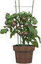 vidaXL - Plantensteunen - 5 - st - met - 3 - ringen - 45 - cm - staal - groen