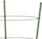 vidaXL - Plantensteunen - 5 - st - met - 3 - ringen - 60 - cm - staal - groen