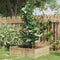 vidaXL - Plantensteunen - 5 - st - met - 3 - ringen - 75 - cm - staal - groen