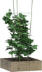 vidaXL - Plantensteunen - 5 - st - met - 4 - ringen - 90 - cm - staal - groen