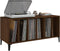 vidaXL - Platenkast - 100x38x48 - cm - bewerkt - hout - bruin - eikenkleur