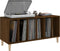 vidaXL - Platenkast - 100x38x48 - cm - bewerkt - hout - bruin - eikenkleur