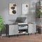 vidaXL - Platenkast - 121x38x48 - cm - bewerkt - hout - betongrijs