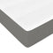 vidaXL - Pocketveringmatras - 100x200x20 - cm - stof - donkergrijs