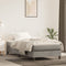 vidaXL - Pocketveringmatras - 100x220x20 - cm - fluweel - lichtgrijs