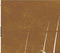 vidaXL - Poort - 85x200 - cm - grasontwerp - cortenstaal