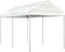 vidaXL - Prieel - met - dak - 4,46x2,28x2,69 - m - polyetheen - wit