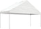 vidaXL - Prieel - met - dak - 6,69x5,88x3,75 - m - polyetheen - wit