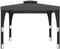 vidaXL - Prieel - met - dubbel - dak - 2,98x2,98 - m - staal - antracietkleurig