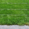 vidaXL - Prikkeldraad - verzinkt - 500 - m