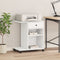 vidaXL - Printerkastje - met - wielen - 60x40x68,5 - cm - wit