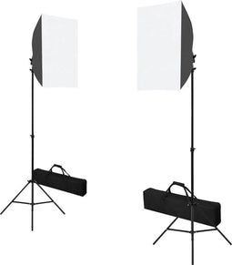 vidaXL - Professionele - studiolampen - 2 - st - 40x60 - cm - staal - zwart
