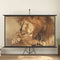 vidaXL - Projectiescherm - 1:1 - 67''