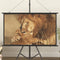 vidaXL - Projectiescherm - 1:1 - 67''