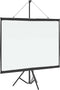 vidaXL - Projectiescherm - met - statief - 50 - inch - 4:3
