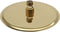 vidaXL - Regendouchekop - rond - 20 - cm - roestvrij - staal - goudkleurig