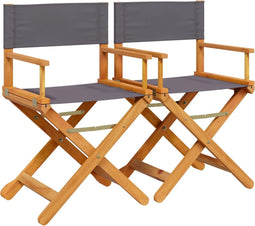 vidaXL - Regisseursstoelen - 2 - st - inklapbaar - stof - donkergrijs