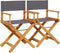 vidaXL - Regisseursstoelen - 2 - st - inklapbaar - stof - donkergrijs
