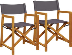 vidaXL - Regisseursstoelen - 2 - st - inklapbaar - stof - donkergrijs