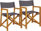 vidaXL - Regisseursstoelen - 2 - st - inklapbaar - stof - donkergrijs