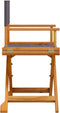 vidaXL - Regisseursstoelen - 2 - st - inklapbaar - stof - donkergrijs