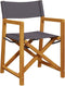 vidaXL - Regisseursstoelen - 2 - st - inklapbaar - stof - donkergrijs