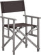 vidaXL - Regisseursstoelen - 2 - st - massief - acaciahout