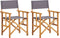 vidaXL - Regisseursstoelen - 2 - st - massief - acaciahout