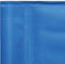 vidaXL - Regisseursstoelen - 2 - st - staal - blauw