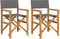 vidaXL - Regisseursstoelen - inklapbaar - 2 - st - massief - teakhout - grijs