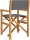 vidaXL - Regisseursstoelen - inklapbaar - 2 - st - massief - teakhout - grijs