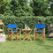 vidaXL - Regisseursstoelen - inklapbaar - 2 - st - massief - teakhout - blauw