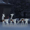 vidaXL - Rendierfamilie - Kerstmis - koudwit - 270x7x90 - cm - mesh - wit