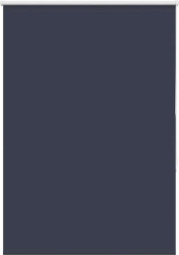 vidaXL - Rolgordijn - verduisterend - 100x150cm - stofbreedte - 95,7cm - polyester