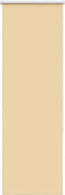 vidaXL - Rolgordijn - verduisterend - 50x175cm - stofbreedte - 45,7 - cm - polyester